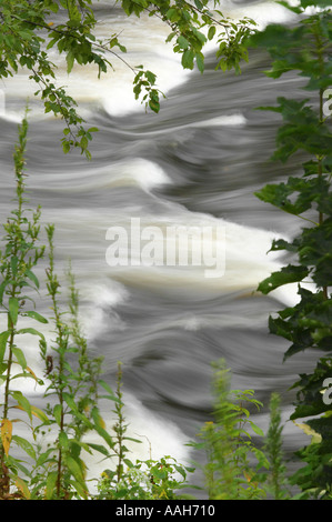 Wasser im Fluss mit hübschen Bewegungsunschärfe und Bäumen Framing Stockfoto