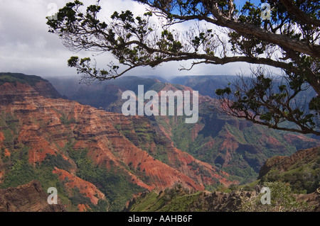 Waimea Canyon, der Grand Canyon des Pazifik Waimea Canyon State Park Kauai Island Hawaii bezeichnet Stockfoto