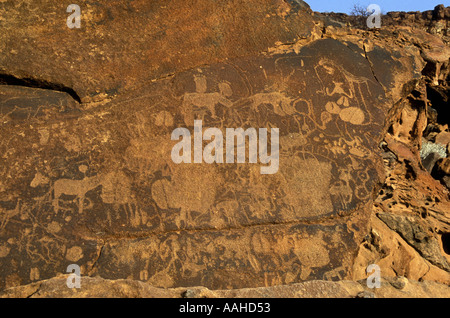 Rock-Gravur von San Leute oder Buschmänner Twfelfontein National Monument Damaraland Namibia Nordafrika gemacht Stockfoto