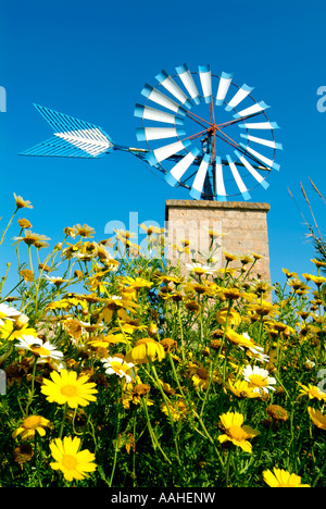 Windmill.Sant Jordi Dorf. Mallorca-Island.Spain Stockfoto