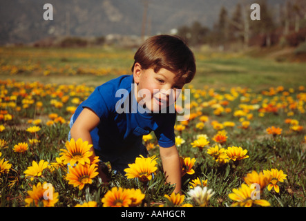 Fröhlicher Junge Pre-k 2-3 Jahre Kind alt spielt im Bereich Wildblumen Blume Natur Natur lächelnd ethnische Vielfalt rassisch verschiedenen biracial Bi Stockfoto