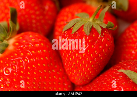 Nahaufnahme von frischen Erdbeeren Erdbeeren Sommer Obst Früchte Stockfoto