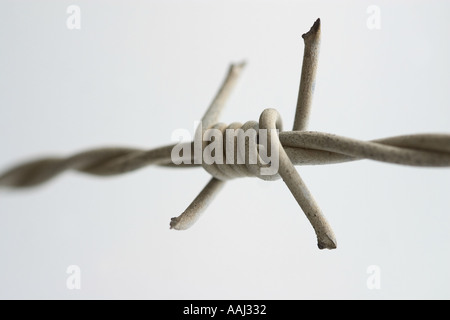 Stacheldraht Stockfoto