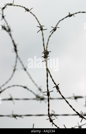 Stacheldraht Stockfoto