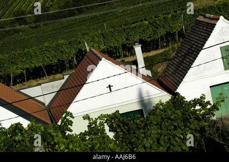 Wein Region Falkenstein in unteren Austrias Weinviertel Spur der Rebe Keller Stockfoto