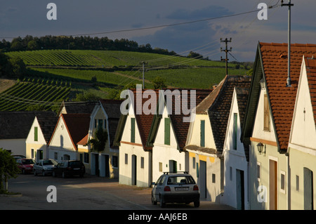 Wein Region Falkenstein im unteren Austrias Weinviertel, Spur der Rebe Keller Stockfoto