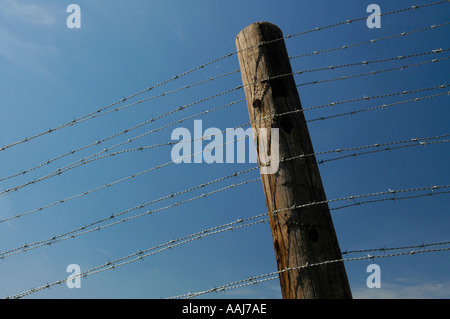 Stacheldraht Stockfoto