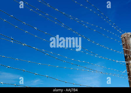 Stacheldraht Stockfoto