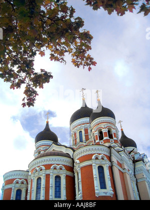 Die Russisch-orthodoxe Alexander Nevsky Cathedral in Tallinn, Estland wurde im russischen Stil 18941900 gebaut. Stockfoto