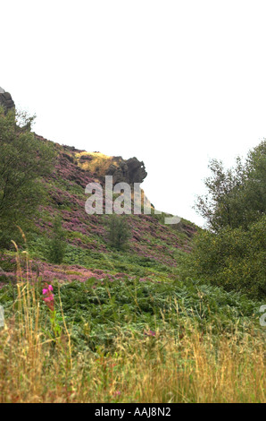 Zwinkert Mann von Kakerlaken im Peak District Stockfoto