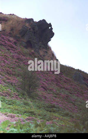 Zwinkert Mann von Kakerlaken im Peak District Stockfoto