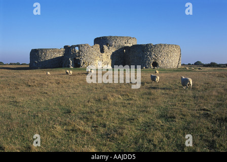 Camber Castle in der Nähe von Roggen East Sussex England UK Stockfoto