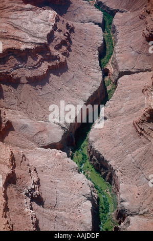 Luftaufnahme von Havasu Canyon in den Grand Canyon Arizona USA Stockfoto