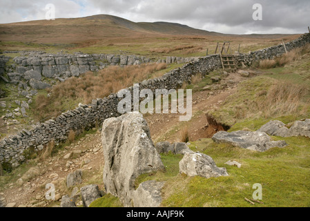 Holzleiter-Stil auf dem Ansatz zu Ingleborough von Clapham, Yorkshire Dales, Großbritannien. Stockfoto