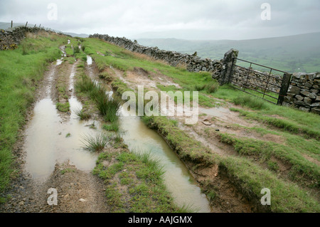 Furchen durch Fahrzeuge in Green Lane über Dent, Yorkshire Dales, Großbritannien verursacht. Stockfoto