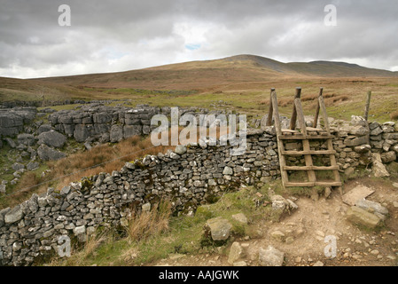 Holzleiter-Stil auf dem Ansatz zu Ingleborough von Clapham, Yorkshire Dales, Großbritannien. Stockfoto