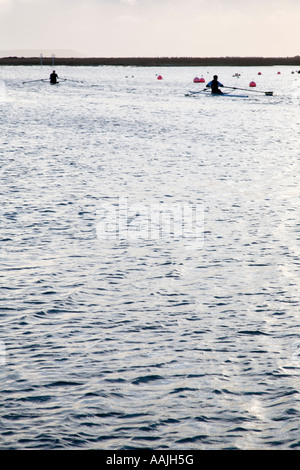 Ein paar der Ruderer auf dem Fluss Stour in Christchurch Stockfoto