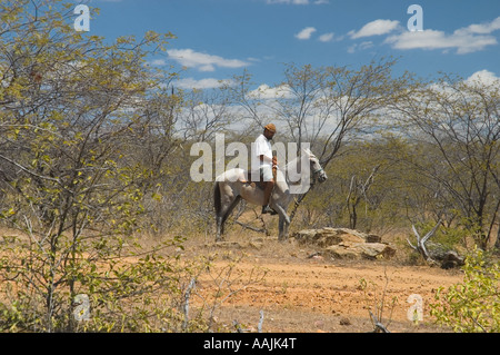 Stand der brasilianischen Nordosten Cowboy auf Pferd Stockfoto