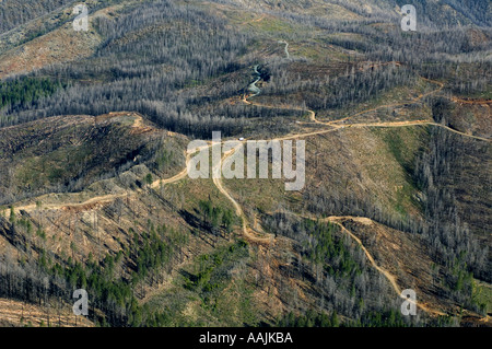 USA OREGON Siskiyou Mountains, KALMIOPSIS Wildnis, Reste der Keks Feuer, 2002, Bergung Protokollierung Betrieb in altem Wachstum Stockfoto