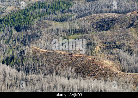 USA OREGON, Siskiyou Mountains KALMIOPSIS Wildnis, Reste von Keks Feuer 2002 Bergung Protokollierung Betrieb in altem Wachstum für Stockfoto