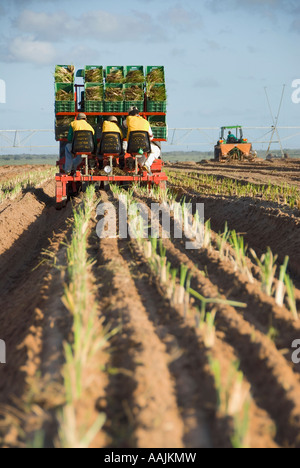 ein Traktor Anbau Feld, Low Angle View Stockfoto