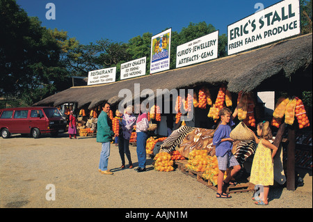 Weiße Familie einkaufen bei einem Obst-Stall in der Nähe von Nelspruit Mpumalanga Südafrika Stockfoto