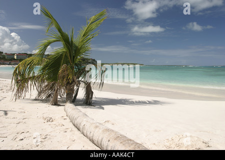 Antigua, Long Bay, Antigua Stockfoto