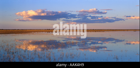 See-Ruth, NW von Alice Springs, Tanami Desert, Central Australia, Northern Territory, Australien, Panorama Horizontal, Stockfoto