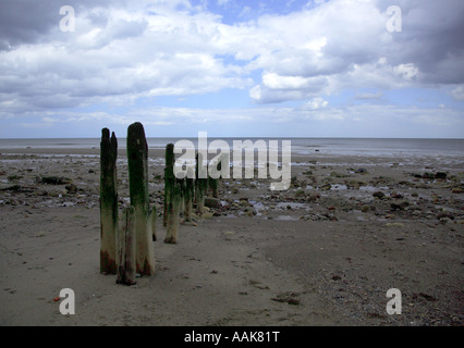 Wellenbrecher im Whitbys Beach in der Nähe von Scarborough Stockfoto