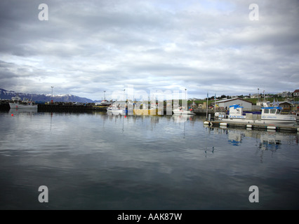 Die Wale beobachten Hafen Husavik Hafen Nordisland Stockfoto