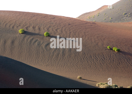 Zerklüftete vulkanische Landschaft und die Dünen von Schlacken im Timanfaya Nationalpark Lanzarote Kanaren Stockfoto