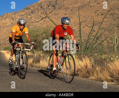 Radfahren durch Saguaro National Park East Tucson Arizona Stockfoto