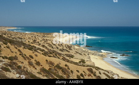 Trockenen Küste der südlichen Baja California Mexiko Stockfoto