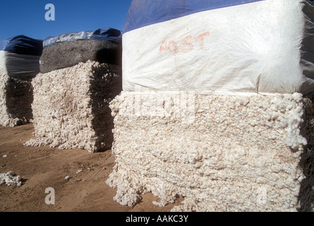 Gestapelte Ballen Baumwolle Marktreife Marana, Arizona Stockfoto