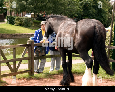 Wanderer stoppen, um Shire Horse im Fahrerlager Canal Grande Western Leinpfad Walker, Person, Leute, paar, Shire, arbeiten, Pferd anschauen Stockfoto