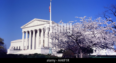 Oberste Gerichtshof Kirschblüten Washington DC District Of Columbia USA Stockfoto