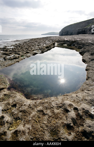 Ein Schwimmbad in den Stein bei Dancing Ledge in der Nähe von Langton Matravers in Dorset geschnitten Stockfoto