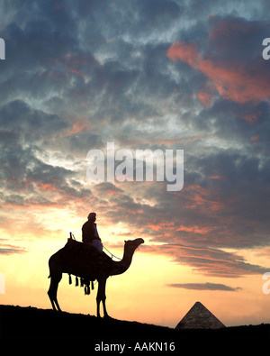 EG - Kairo: Sonnenaufgang am El Giza Stockfoto