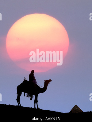EG - Kairo: Sonnenaufgang am El Giza Stockfoto
