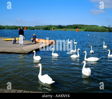 Cosmeston Lakes and Countrypark, Penarth, Vale of Glamorgan, Südwales. Stockfoto