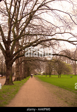 Schotterstraße durch blättrige Ahornbäume während eines nebligen Tages im Hyde Park, London, Großbritannien Stockfoto