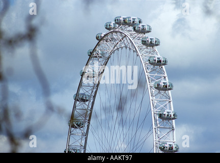 London Eye, Jubilee Gardens, Südufer der Themse in London, England. Stockfoto