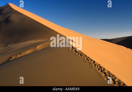 Bahnen entlang einer Kante der Düne erhebt sich über der Wüste Namibias Stockfoto