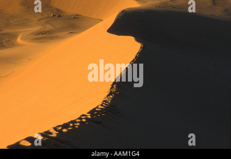 Spuren auf Kamm der Düne hoch über dem Wüstenboden Namibia Afrika Stockfoto