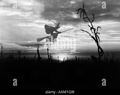 SONNENUNTERGANG ÜBER KORNFELD MIT SILHOUETTE DER HEXE AUF BESEN FLIEGEN DURCH DEN HIMMEL Stockfoto