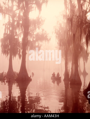 ZWEI MÄNNER ANGELN IN EINE BOOT IN EIN CYPRESS SWAMP SPANISH MOSS HÄNGEN VON DEN BÄUMEN SONNE BELEUCHTET NEBEL Stockfoto