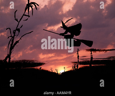 DIGITAL COMPOSITE SONNENUNTERGANG UND SILHOUETTE DER HEXE AUF EINEM BESEN Stockfoto