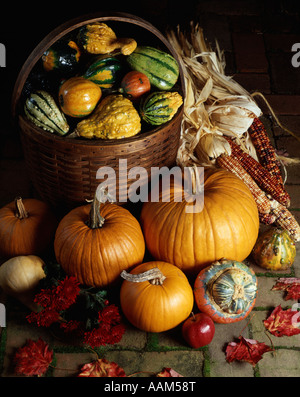 ERNTE STILLLEBEN KORB KÜRBISSE SQUASH KÜRBIS KÜRBISSE HERBSTLAUB MAIS VIEL KOPFGELD HERBST SAISON THANKSGIVING Stockfoto