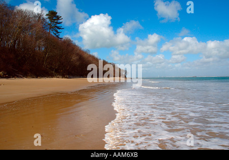 Priory Bay, Isle of Wight, nr St Helens, England, UK, GB. Stockfoto