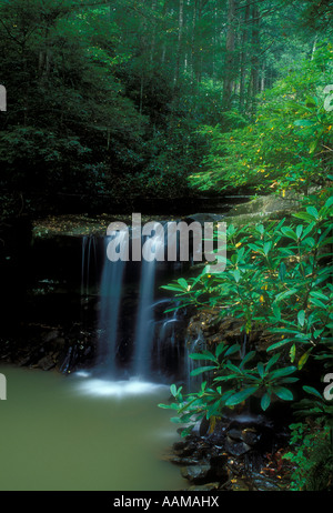 MARSH GABEL FÄLLT TWIN FALLS STATE PARK WEST VIRGINIA Stockfoto